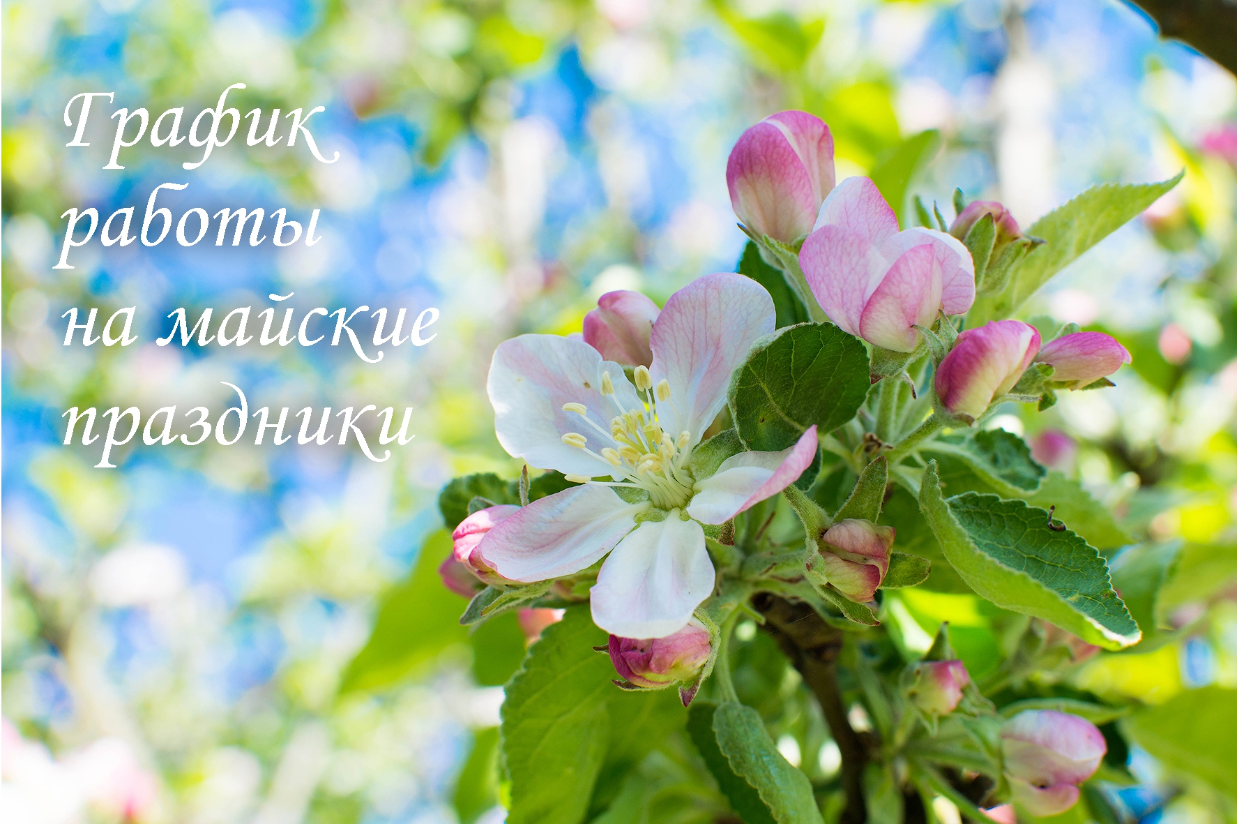 График работы в майские праздники